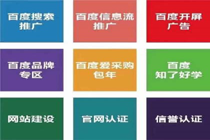案例分析：百度推广成功案例解析